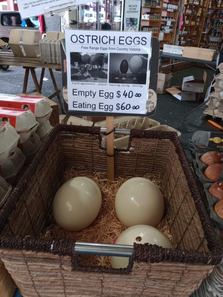 Ein großer Korb mit drei Straußeneiern. Auf einem Schild darüber steht: "Ostrich Eggs. Free Range Eggs from Country Victoria. Empty Egg $40 Eating Egg $60"